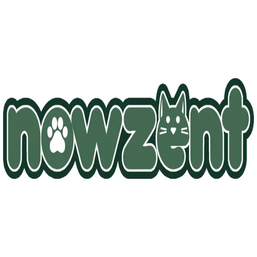Nowzent