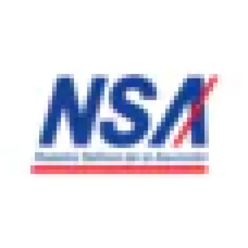 nsa.com.py