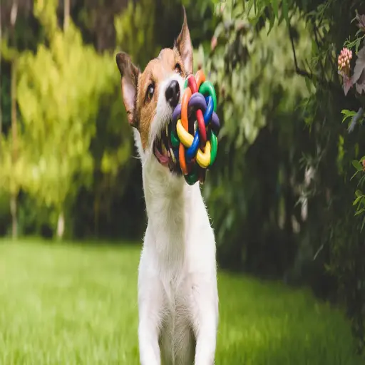 Nutri-Lawn