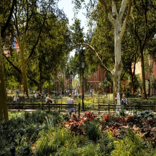 New York University