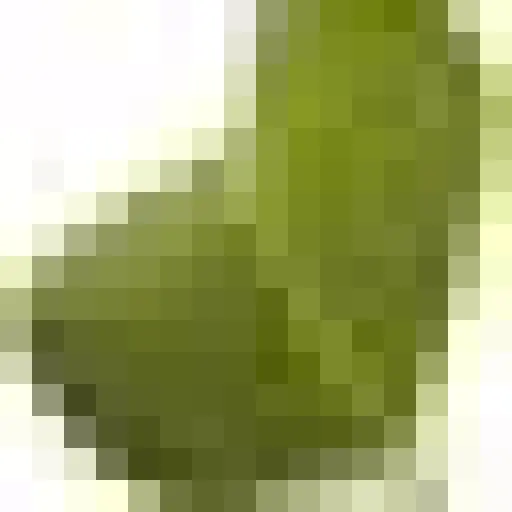 OfficialHCGDietPlan