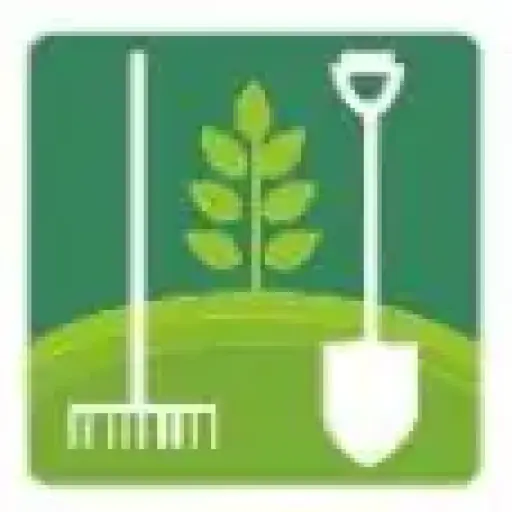 Oliviagardenservices