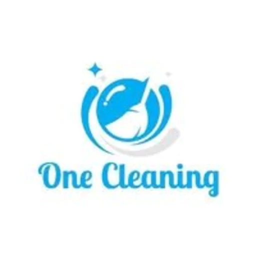 One Cleaning