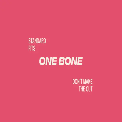 ONE BONE