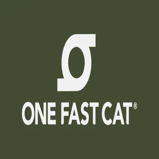 One Fast Cat