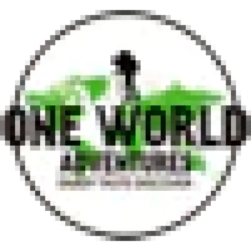 oneworldadventures.com