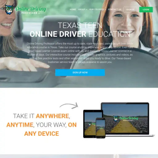 Online Driving Professor