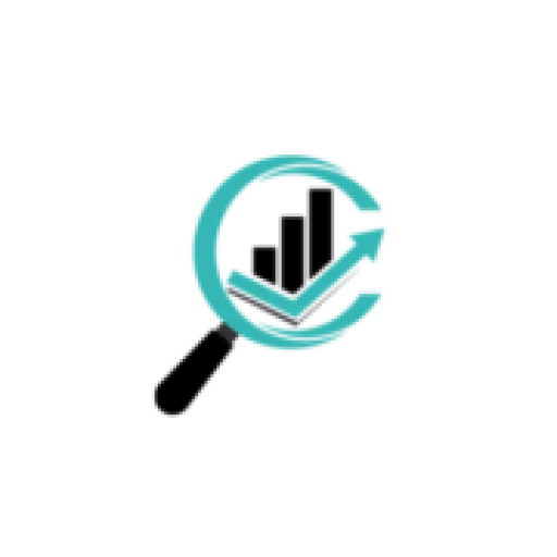 Organic SEO Company