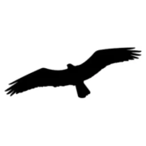 Osprey Health & Safety