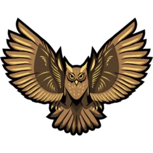 Owl Sight Security Services