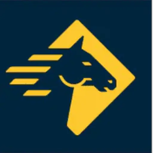 palamerican.com