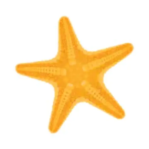 panhandlegetaways.com