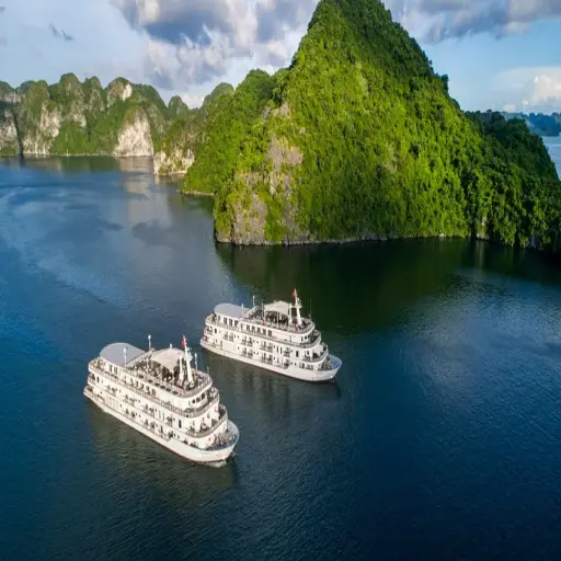 Paradisevietnam