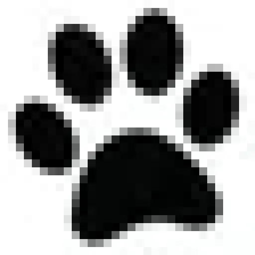paw-depot.com
