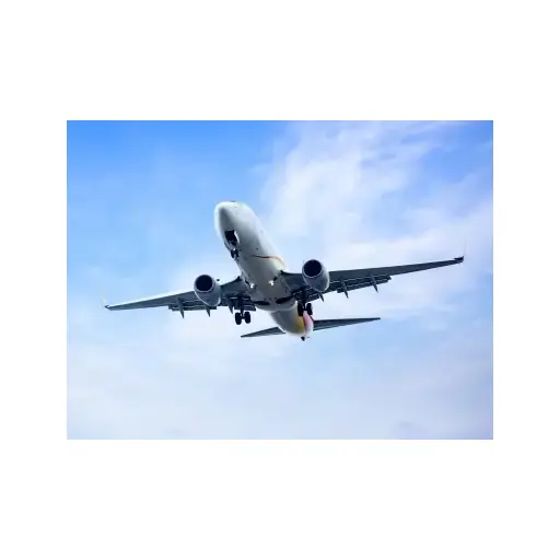 Payless Flights