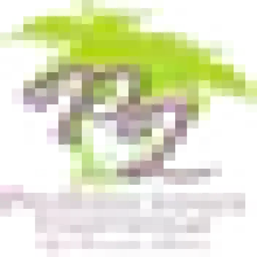 Pediliciousfootwear