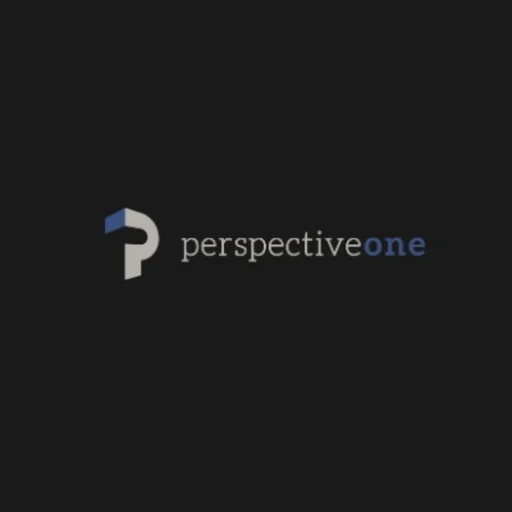 Perspective One