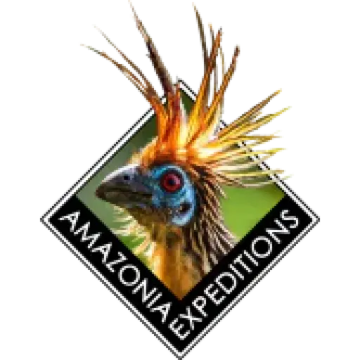 Perujungle