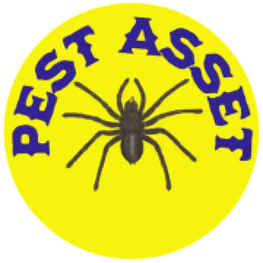 Pestasset