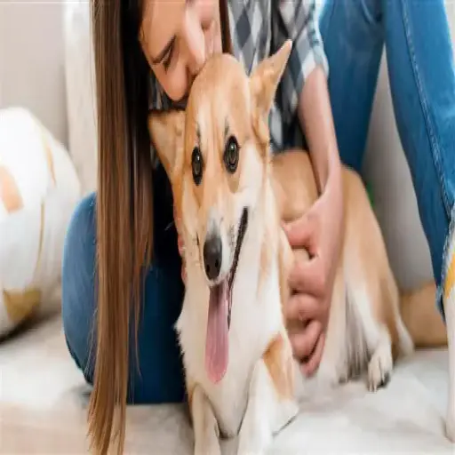 Pet Discounters