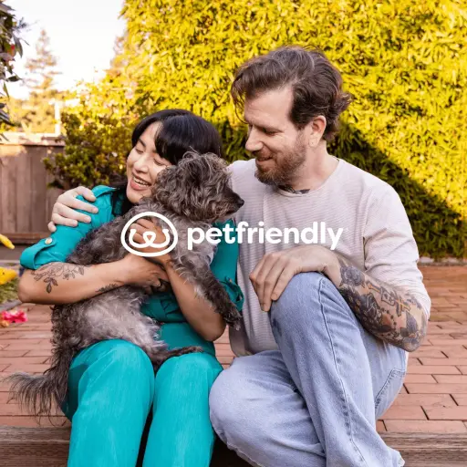 petfriendlybox.com