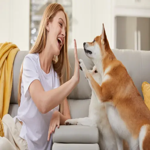 petsmont.com