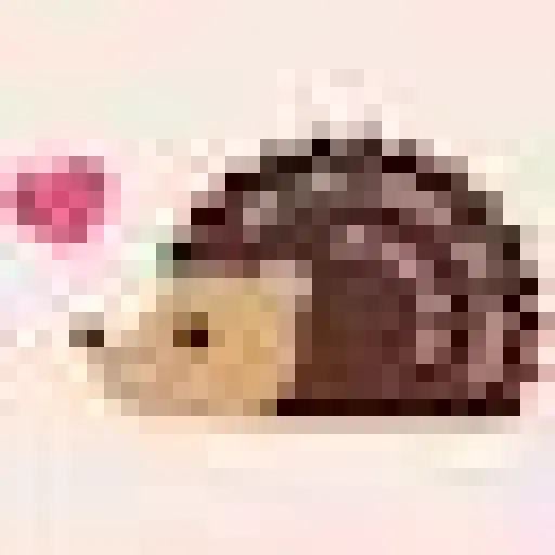 Petworks