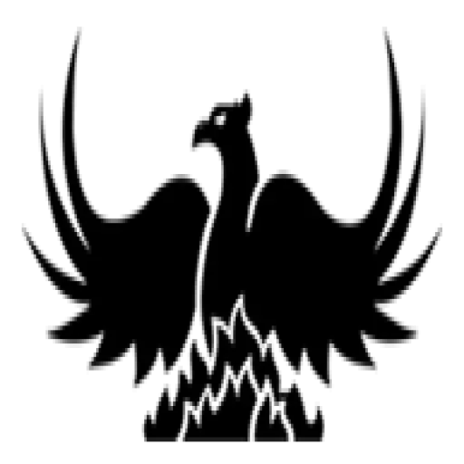 Phoenix Financial Group