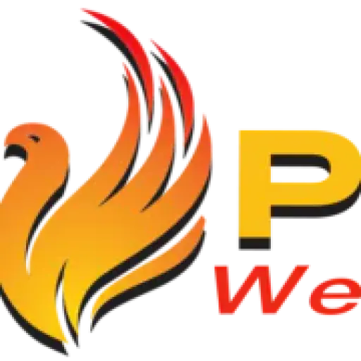 Phoenix web design pros