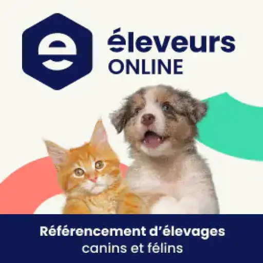 Photos Animaux