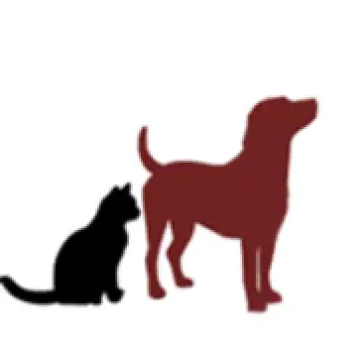 Piensoparaperrosygatos