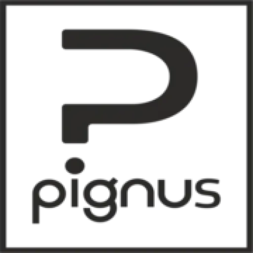 Pignus Pro ApS