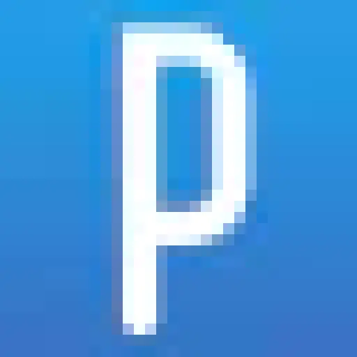PingPong Payments