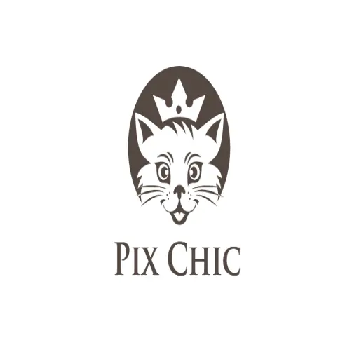 Pixchic