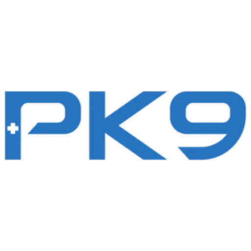 PK9 Consulting