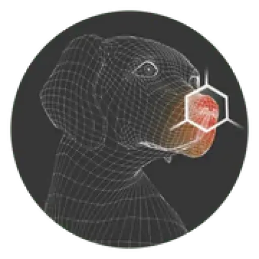 Playology