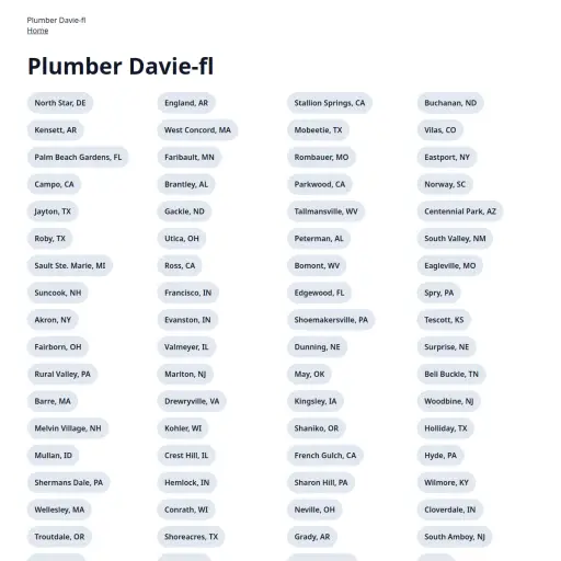DPAUL Plumbing