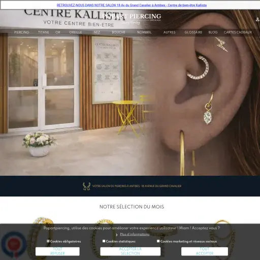 popartpiercing.com