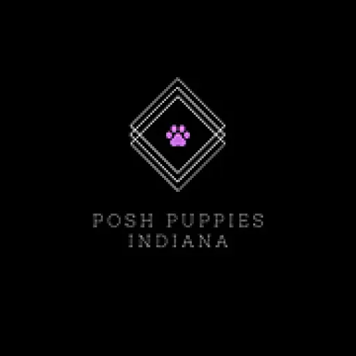 poshpuppiesindiana.com