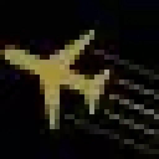 Prime Flights