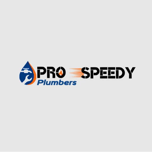 Pro Speedy Plumbers