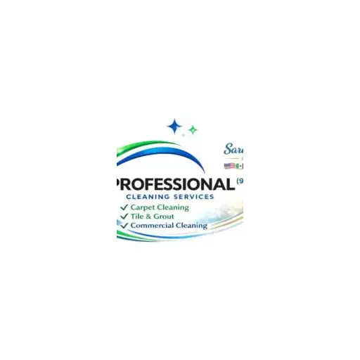 Professional Cleaning LLC
