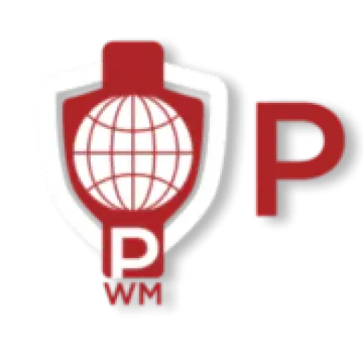 Professional Web Maker