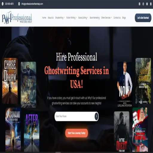 Professional Writers Help