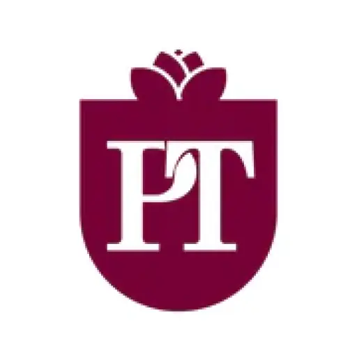Professional Taxes Inc