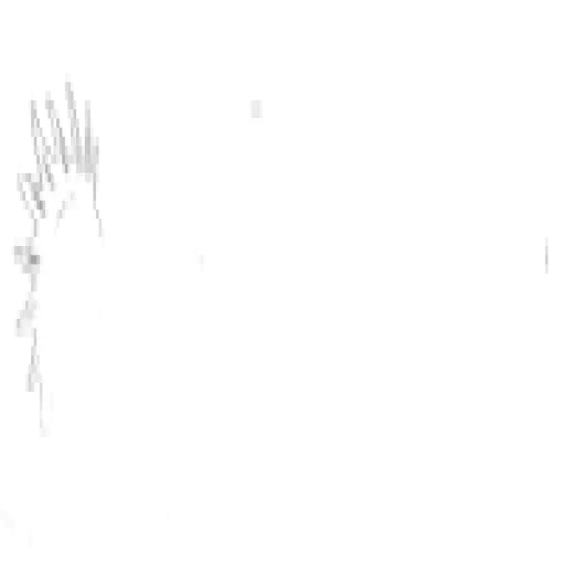 PunkCase