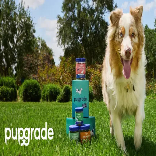 pupgrade.com