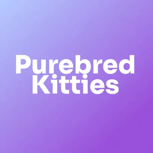 Purebred Kitties