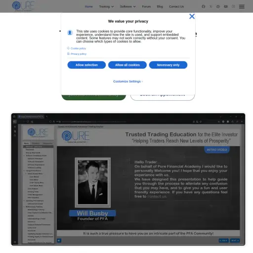 Pure Financial Academy