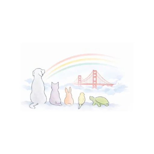 Rainbow Bridge Pet Cremation Services